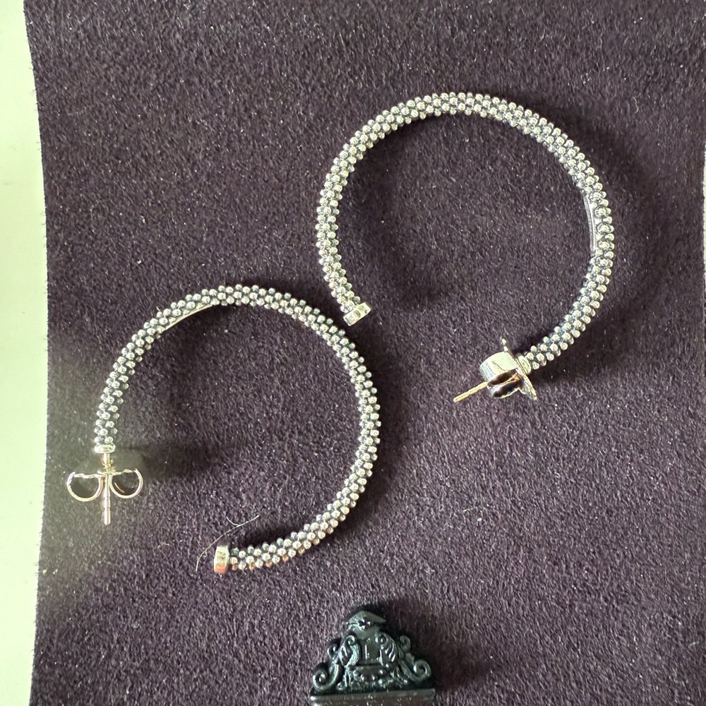 Elegant Silver Hoop Earrings